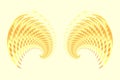 Angel Fairy or Bird Wings 2 Royalty Free Stock Photo