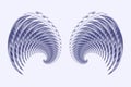 Angel Fairy or Bird Wings Royalty Free Stock Photo