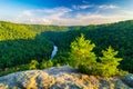 Angel Falls Overlook, Big South Fork National River and Recreation Area Royalty Free Stock Photo