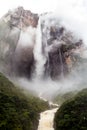 Angel Falls Salto Angel Royalty Free Stock Photo