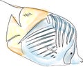 Angel fish red sea species vector watercolors illustration handmades