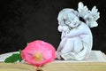 Angel and flower on dark grunge background Royalty Free Stock Photo
