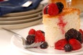 Angel food cake Royalty Free Stock Photo