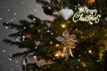 Angel glass on christmas tree lighting whit Merry Christmas text Royalty Free Stock Photo