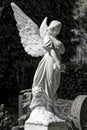 Angel on a grave