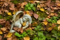 Angel on graveyard for grieving parents of stillbirth children Royalty Free Stock Photo