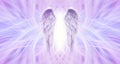 Angel Healing Lilac Lattice background Royalty Free Stock Photo