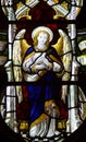 Angel holding a dove (stained glass) Royalty Free Stock Photo