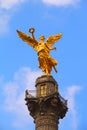 Angel of the Independence  paseo de la reforma in Mexico City  VII Royalty Free Stock Photo