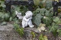 Angel and ivy leafs Royalty Free Stock Photo