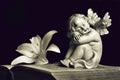 Angel and lily flower on open book isolated on black background Royalty Free Stock Photo