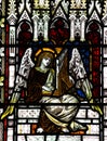 Angel making music in stained glass Royalty Free Stock Photo