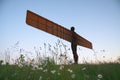 Angel of the North and Flowers Royalty Free Stock Photo