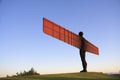 Angel of the North and Grass