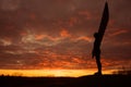 Angel of the North - sunset