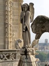 Angel at Notre Dame de Paris Royalty Free Stock Photo