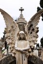 Angel with outstretched wings holding some flowers Royalty Free Stock Photo