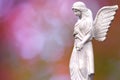 Angel over beautiful soft blurred background