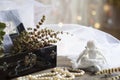 Angel and Pearls necklace in black casket on colorful background bokeh Royalty Free Stock Photo