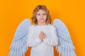 Angel prayer kids. Christmas kids. Little cupid angel child with wings. Studio portrait of angelic kid. Royalty Free Stock Photo