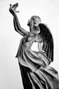 Angel releasing dove of peace