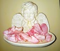 Angel rose dish Royalty Free Stock Photo