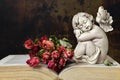 Angel, roses and old book Royalty Free Stock Photo