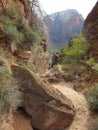 The Angel`s Landing Hiking Path, Zion National Park, Utah Royalty Free Stock Photo