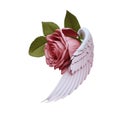 Angel\'s Wings with Red Rose Realistic Clipart. Illustration AI Generative design element isolated on white background