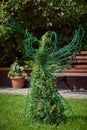 Angel in the shape of a thuja bush. Christmas green angel with a trumpet.