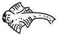 Angel shark, illustration, vector