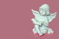 Angel reading a book Royalty Free Stock Photo