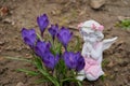 angel with spring flowers, figurine of an angel on a grave with crocus flowers Royalty Free Stock Photo