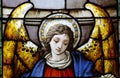 An angel in stained glass Royalty Free Stock Photo