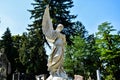 Angel statue against tree background Royalty Free Stock Photo