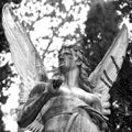 Angel statue - antique english cemetery