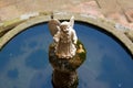 Angel statue in the fountain Royalty Free Stock Photo
