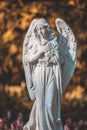 Angel statue in the public park english flowers garden park style. Royalty Free Stock Photo