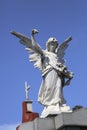 Angel statue at Recoleta cemetery, Buenos Aires Royalty Free Stock Photo
