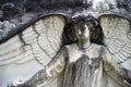 Angel Tombstone Detail Royalty Free Stock Photo