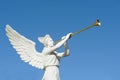 Angel trumpeter Royalty Free Stock Photo