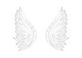 Angel vector wings, white pair bird wing icon isolated on white background