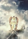 Angel Warrior Royalty Free Stock Photo