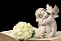 Angel, white flower and old book Royalty Free Stock Photo
