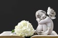 Angel, white flower and old book Royalty Free Stock Photo