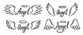 Angel wing with halo and angel lettering text Royalty Free Stock Photo