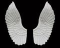 Angel wing isolated on black background Royalty Free Stock Photo