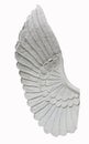 Angel wing isolated on white background Royalty Free Stock Photo