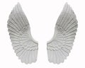 Angel wing isolated on white background Royalty Free Stock Photo