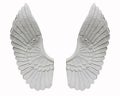 Angel wing isolated on white background Royalty Free Stock Photo